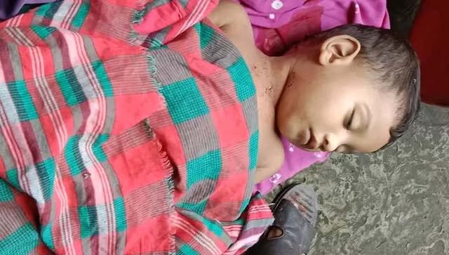 খেলার ছলে মৃত্যু! ঝিনাইদহে ঘাড়ে বটি পড়ে প্রাণ গেল ২ বছরের শিশু ছাইমের