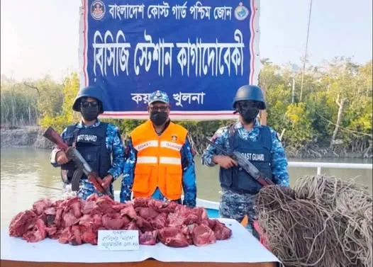 সুন্দরবনের কাগাদোবেকিতে ১০০ কেজি হরিণের মাংসসহ ৪ হাজার মিটার ফাঁদ জব্দ করেছে কোস্ট গার্ড